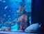 AQUARIA_PHUKET