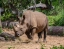 CHIANG_MAI_NIGHT_SAFARI