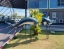 DOLPHINARIUM_PATTAYA