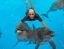 DOLPHINARIUM_PATTAYA