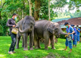 Jewels Of Thailand 5 Nights