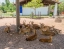 PATTAYA_SHEEP_FARM