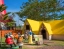 PATTAYA_SHEEP_FARM