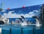 SAFARI_WORLD_MARINE_PARK