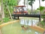 TIGER_PARK_PATTAYA