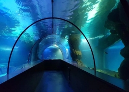 AQUA VEGA AQUARIUM