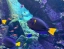 The_LOST_CHAMBERS_AQUARIUM