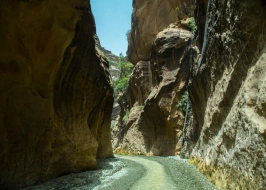 WADI LAJAB
