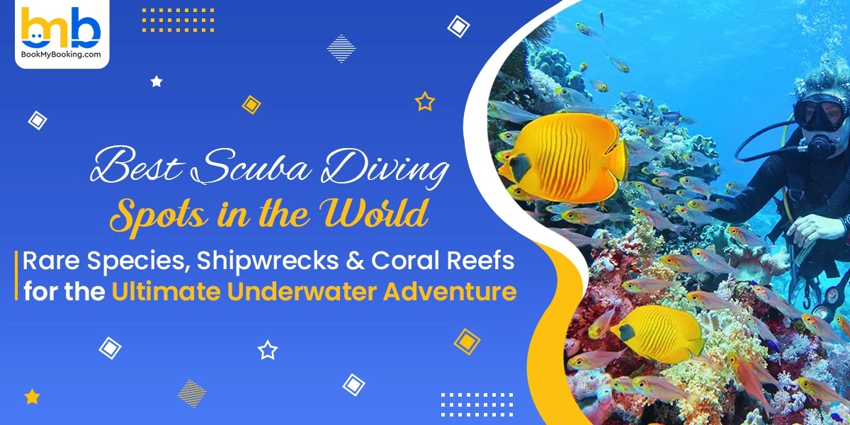 Top Scuba Diving Spots In The World | BookMyBooking Travel Blog