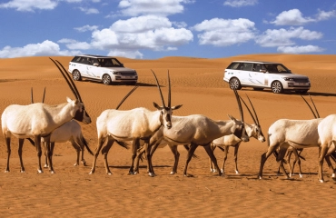 Friendly Dubai 3 Nights