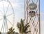 FLYING_CUP_DUBAI