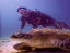 SCUBA_DIVING