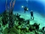 SCUBA_DIVING