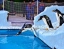 SKI_DUBAI_SNOW_CLASSIC