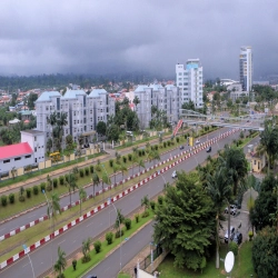 Guinea