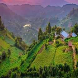Uganda