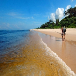Gabon