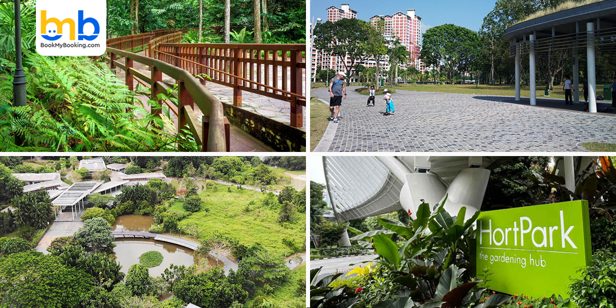 Bukit Timha Nature Reserve