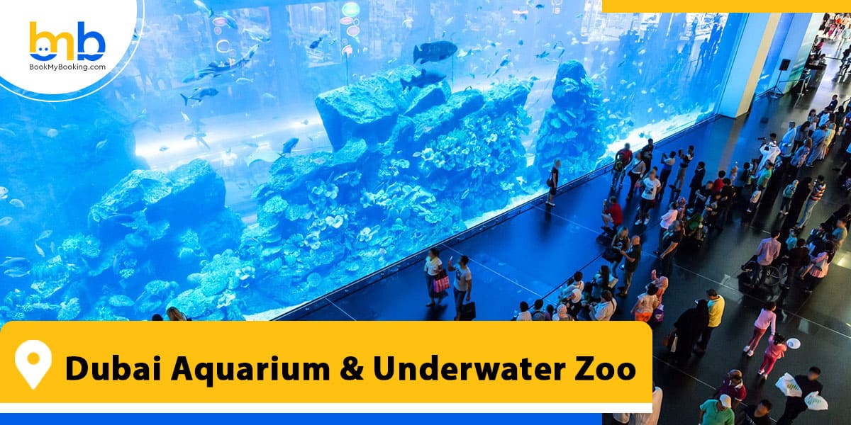 Dubai Aquarium Underwater Zoo from bookmybooking