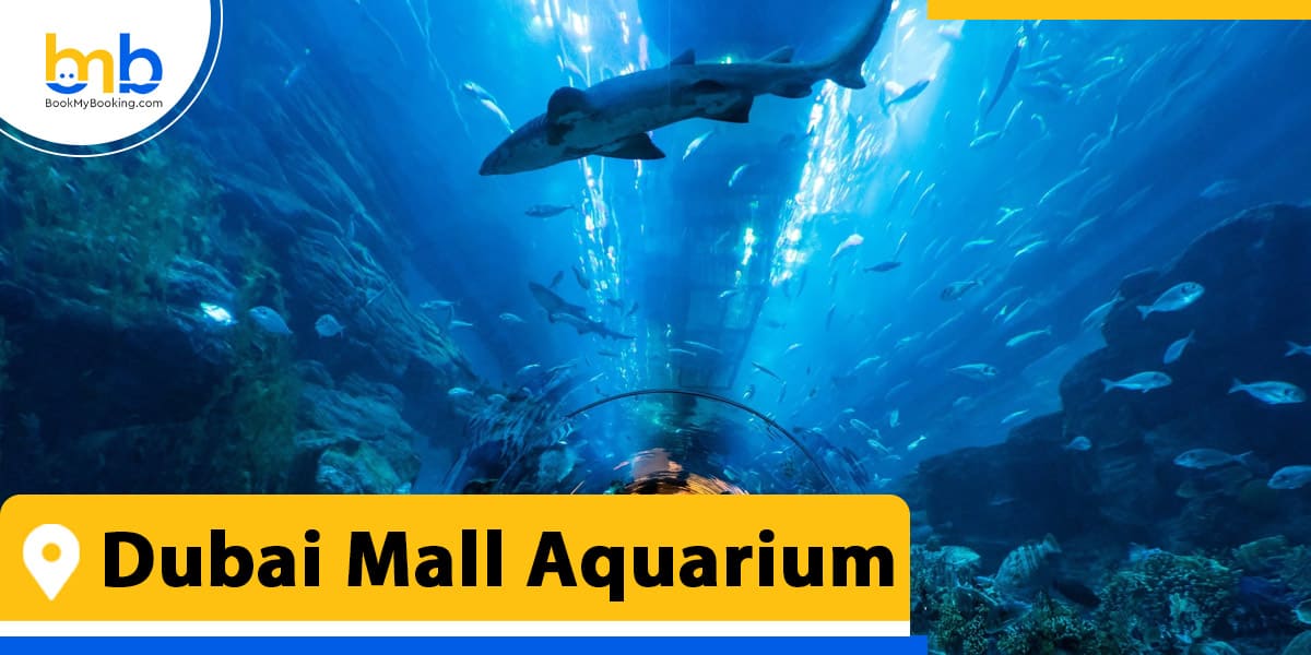 dubai mall aquarium from bookmybooking