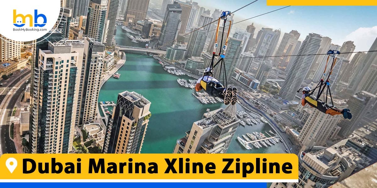 dubai marina xline zipline from bookmybooking