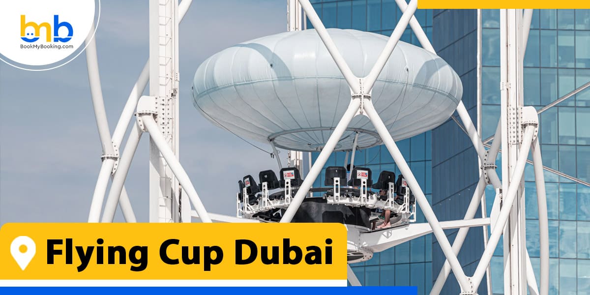 flying cup dubai from bookmybooking