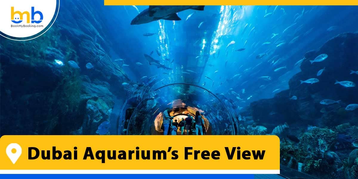 dubai aquarium free view from bookmybooking