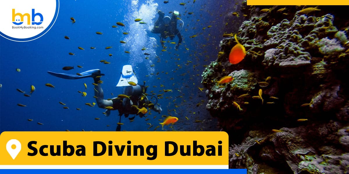 scuba diving dubai from bookmybooking
