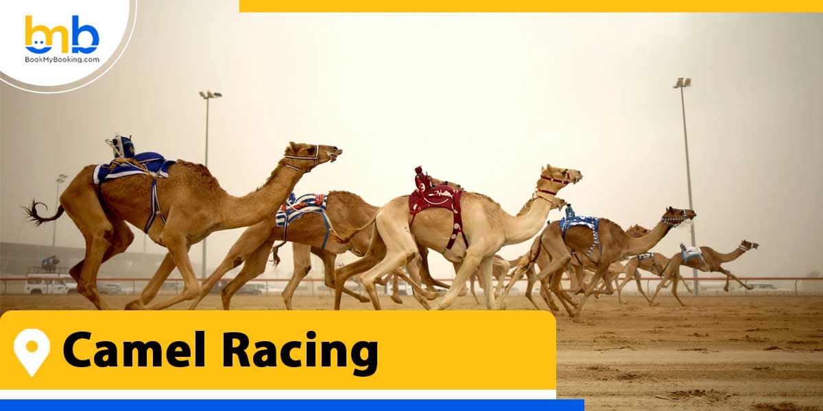 camel racing from bookmybooking