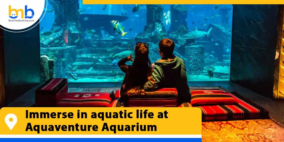 immerse in aquatic life at aquaventure aquarium from bookmybooking