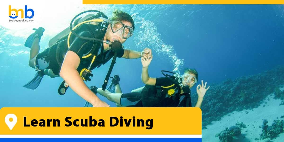 learn scuba diving from bookmybooking