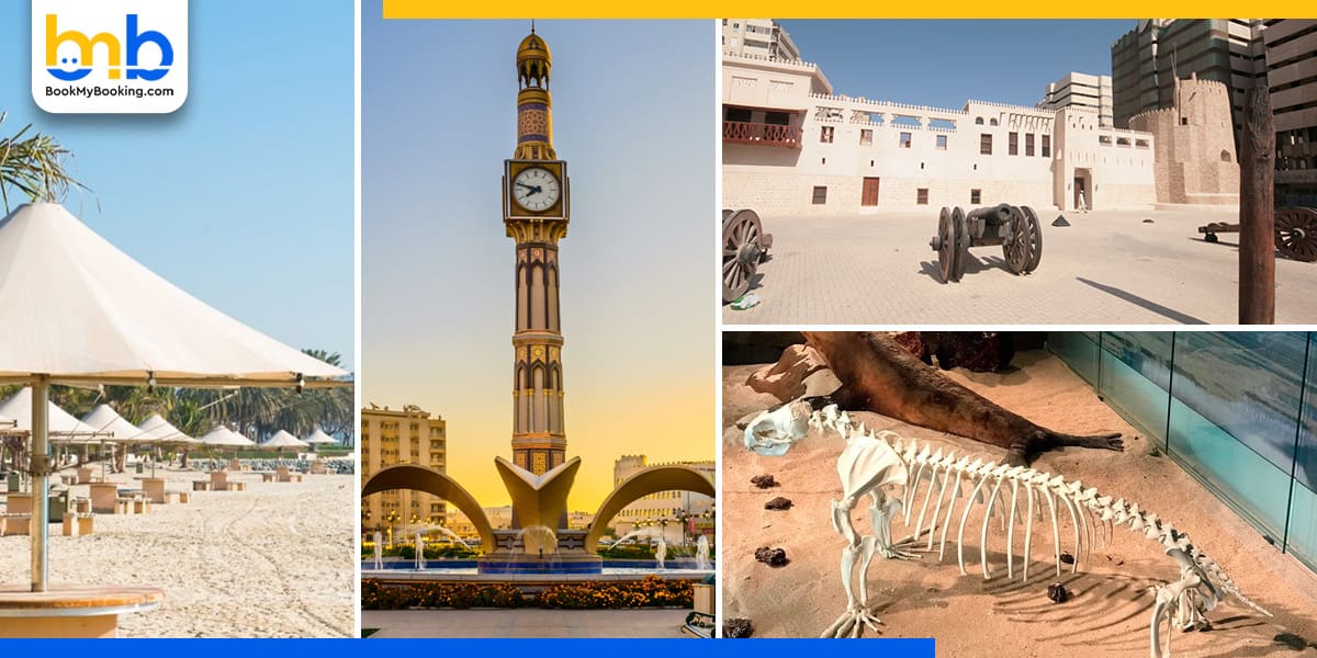 places to visit in sharjah city tour from bookmybooking