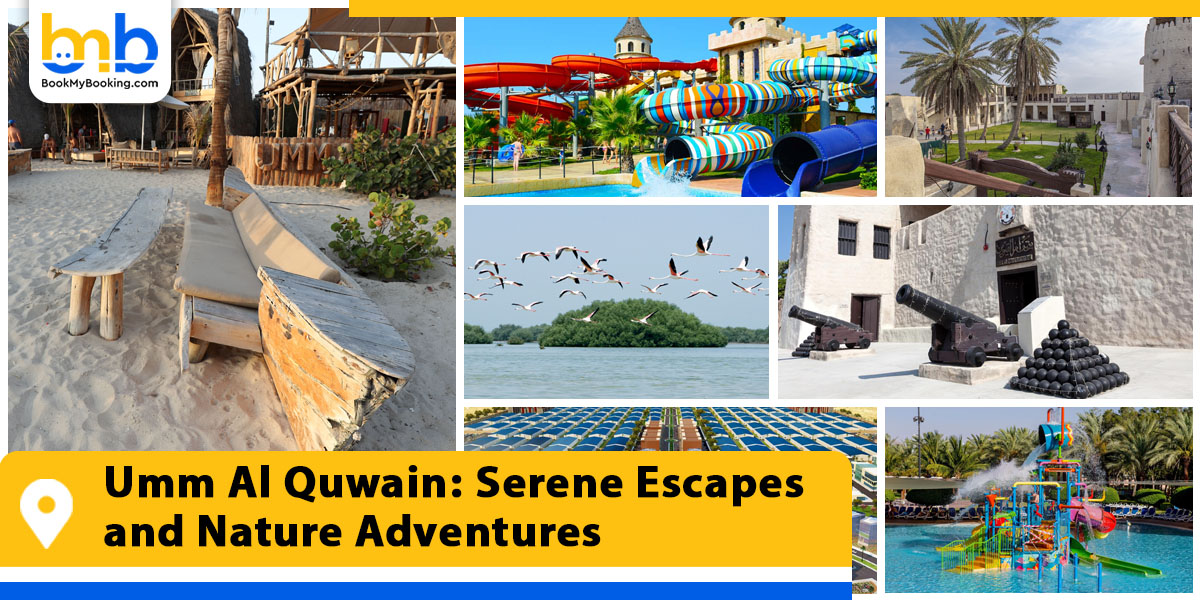 umm al quwain serene escapes and nature adventures from bookmybooking