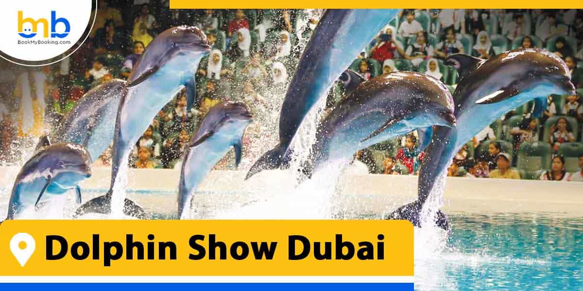 dolphin show dubai from bookmybooking