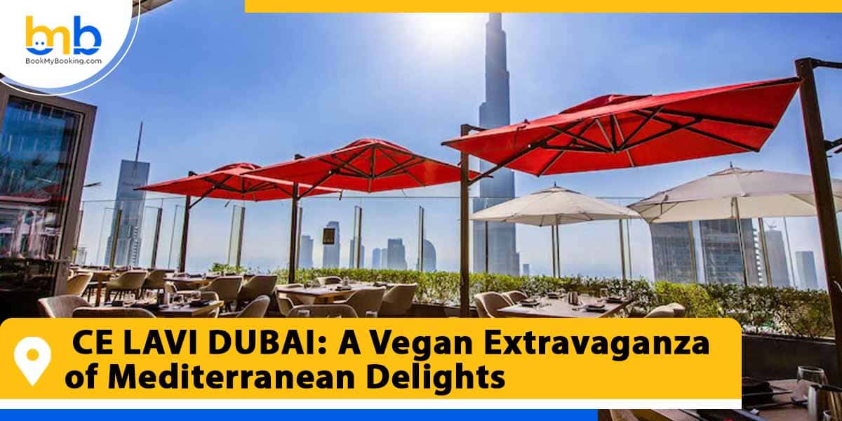 CE LAVI DUBAI a vegan extravaganza of mediterranean delights from bookmybooking