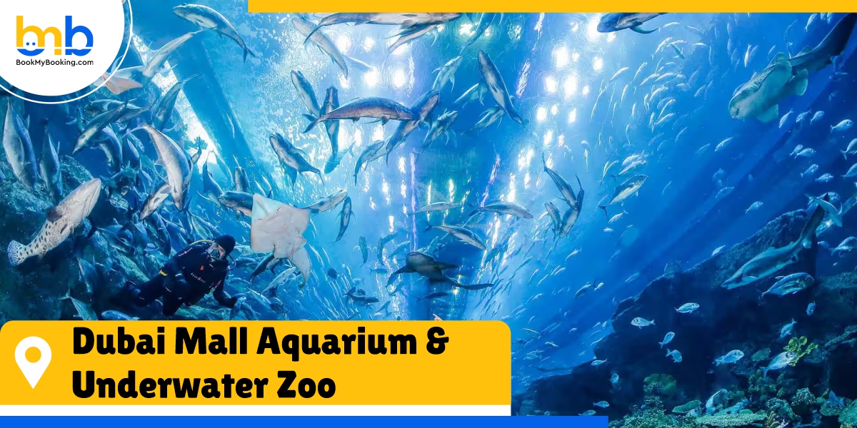 Dubai Mall Aquarium Underwater Zoo bookmybooking