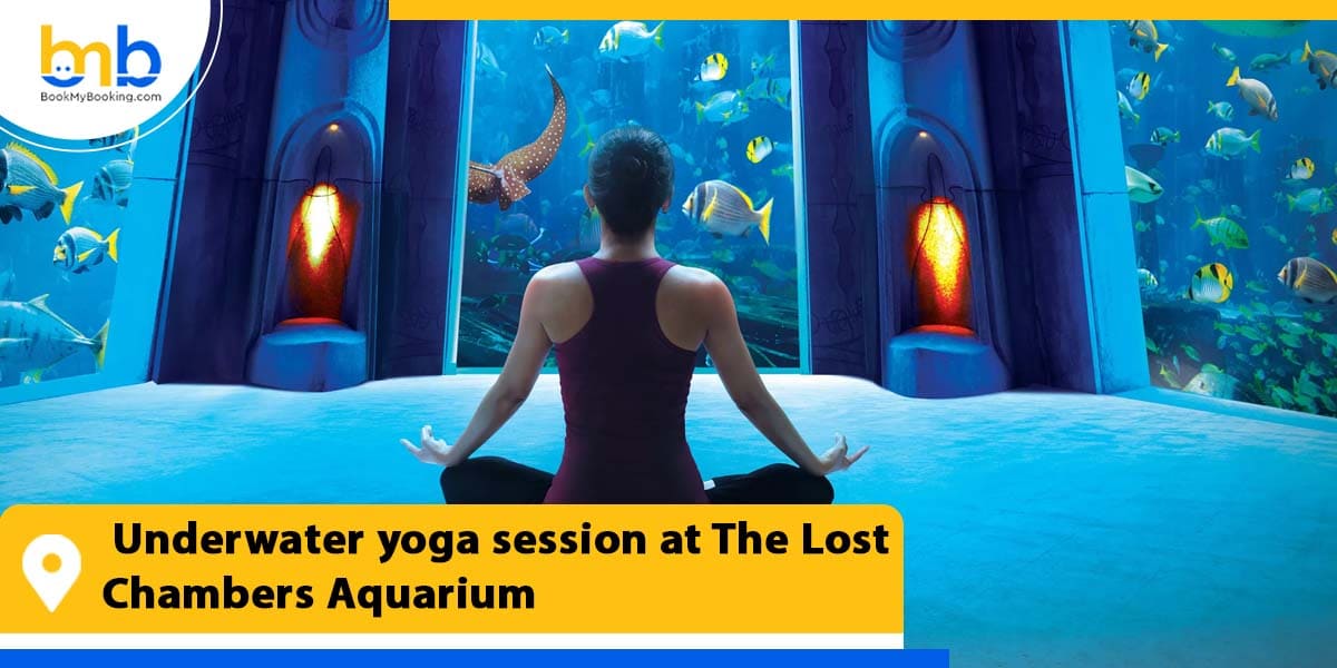 underwater yoga session at the lost chambers aquarium form bookmybooking