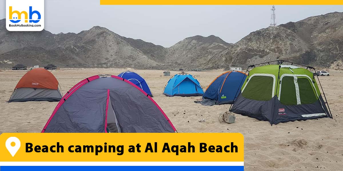 beach camping at al aqah beach from bookmybooking
