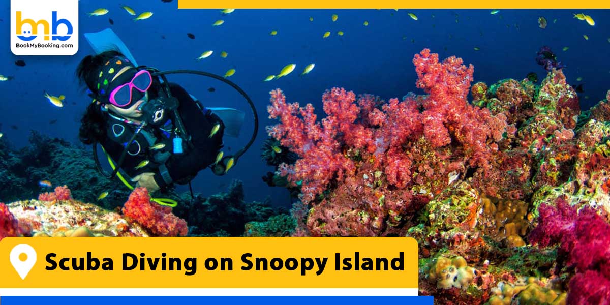 scuba diving on snoopy island from bookmybooking