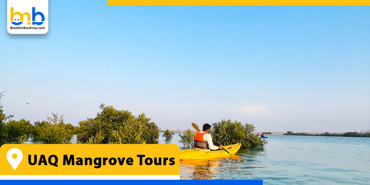 uaq mangrove tours from bookmybooking