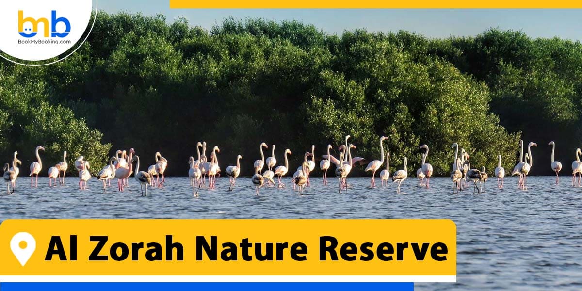 Al Zorah Nature Reserve from bookmybooking