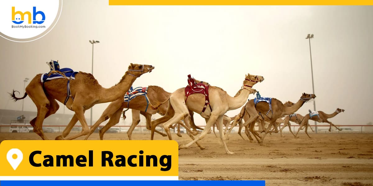 Camel Racing from bookmybooking
