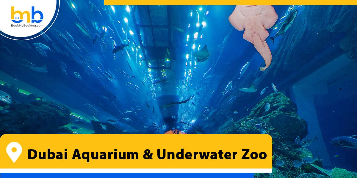 Dubai Aquarium and Underwater Zoo from bookmybooking