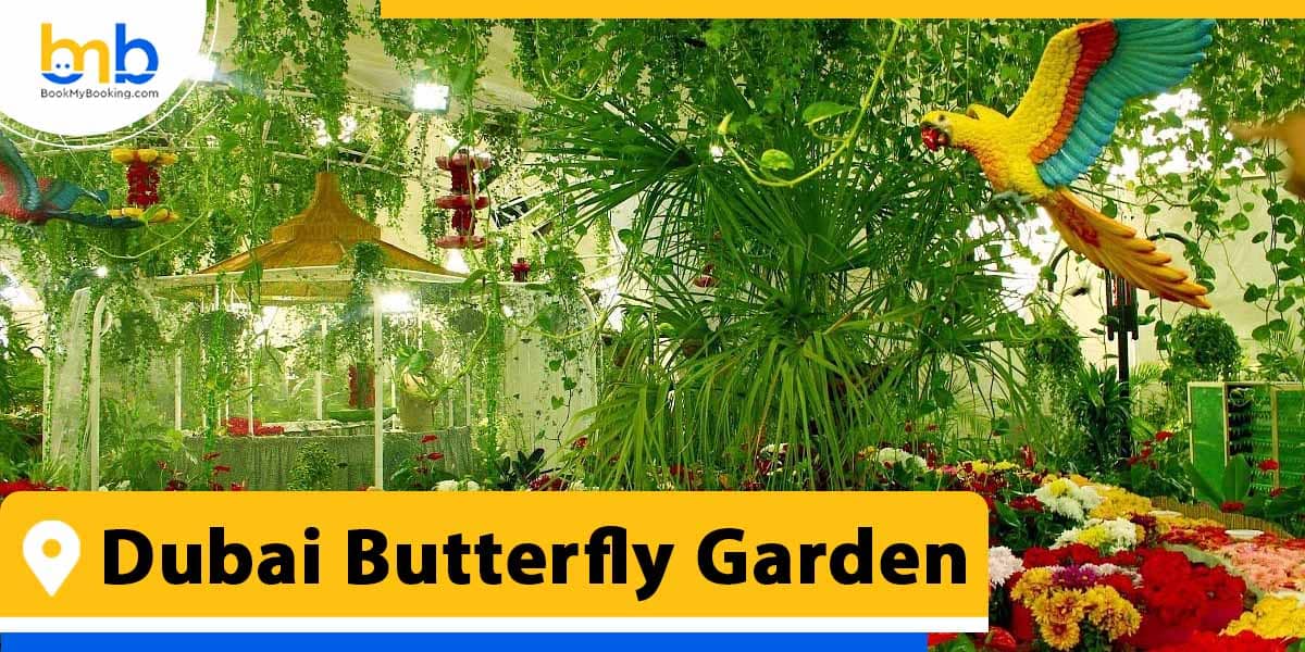 Dubai Butterfly Garden from bookmybooking