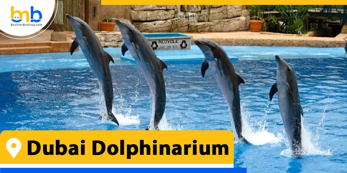 Dubai Dolphinarium from bookmybooking
