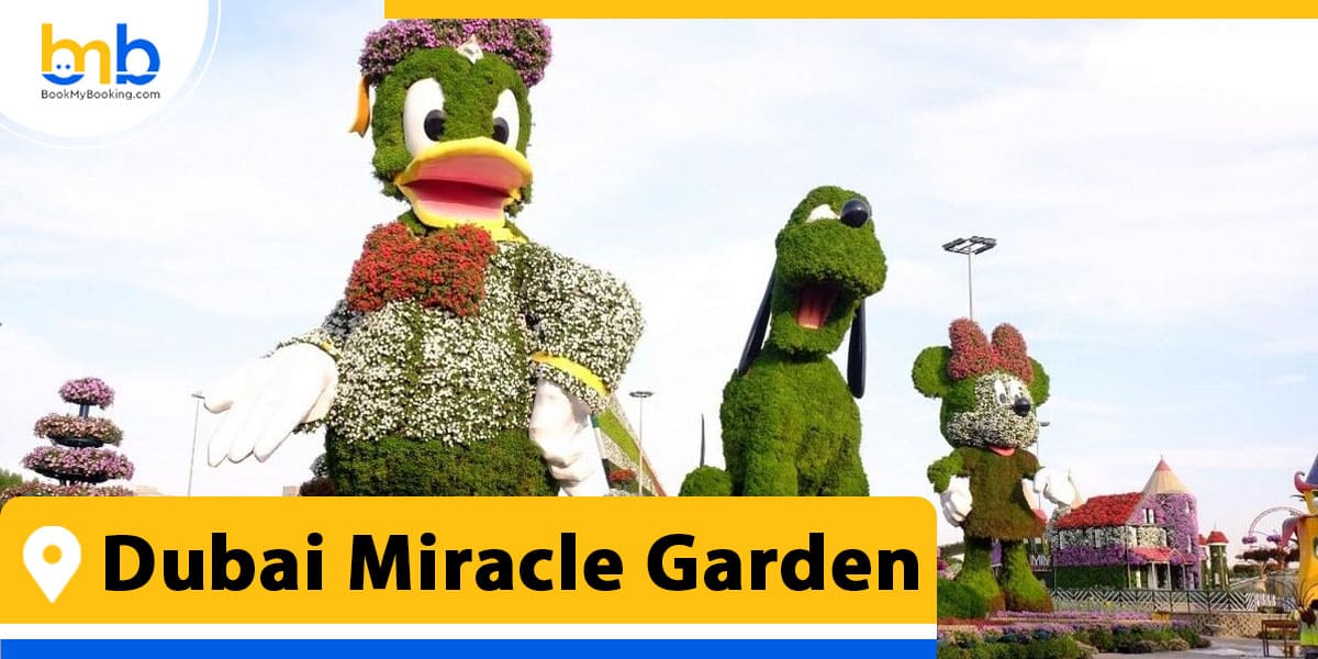 Dubai Miracle Garden from bookmybooking