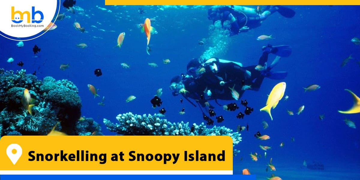 Snorkelling at Snoopy Island from bookmybooking