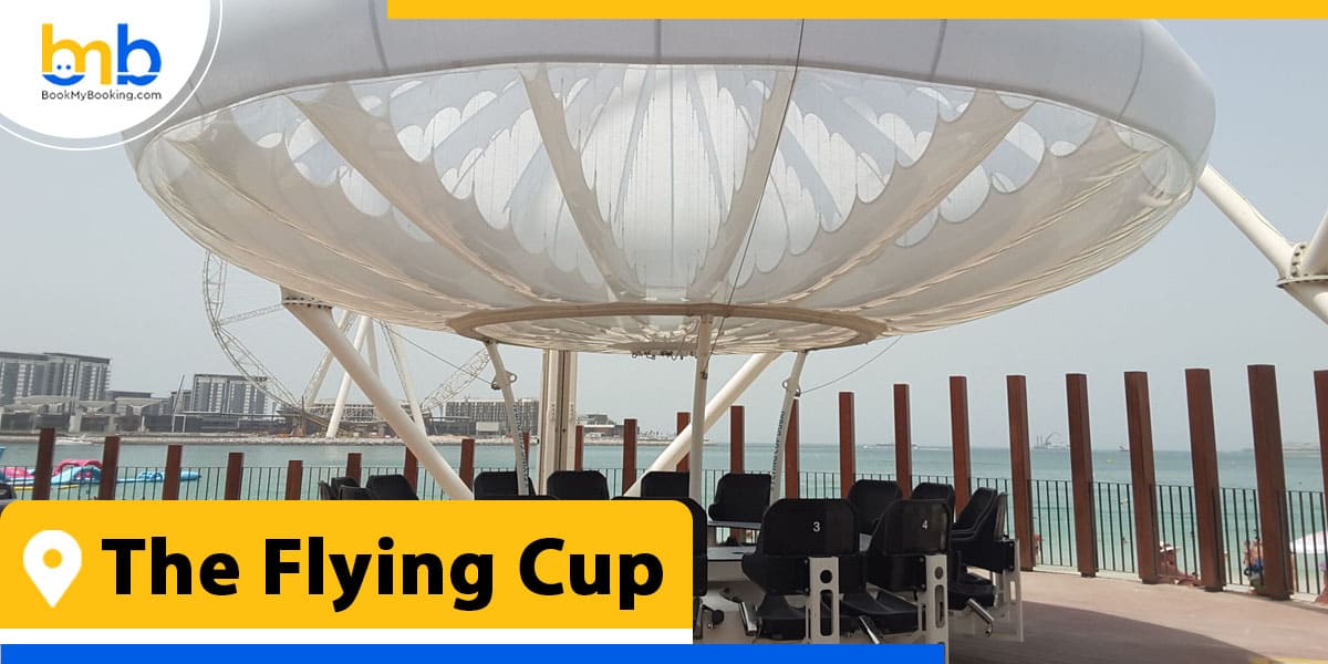 The Flying Cup from bookmybooking
