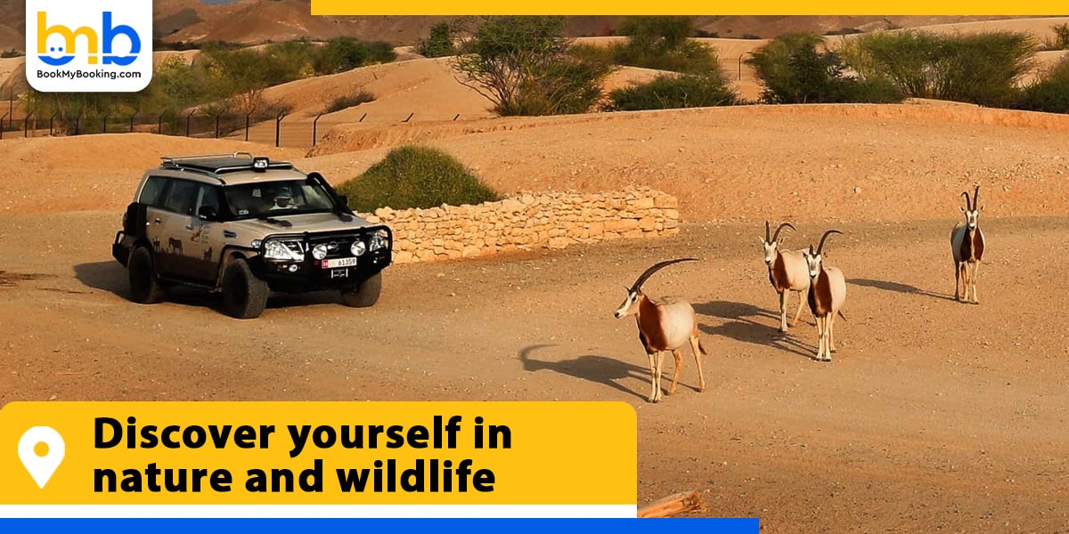 discover yourself in nature and wildlife from bookmybooking