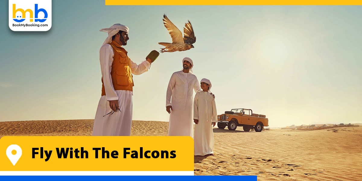 fly with the falcons from bookmybooking